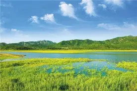 旅行社复工开业和运营指南图片