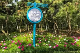 26公里！阳光海岸！日照这些地方必须知道！图片