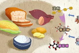 食物中的淀粉三问图片