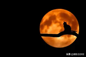 拍摄剪影，有这8个拍摄条件，你的剪影照片艺术性会更强图片