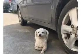 今天妈突然对我说，你弟弟不会是变态吧？家里就他一个男人！图片