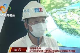 项目引领，快马加鞭图片