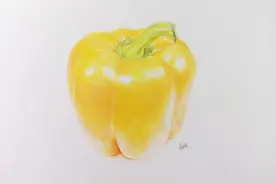 色铅彩绘 | 大黄椒图片
