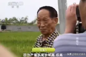 央视纪录片：袁隆平指着稻子和外国记者说，这叫核武器，产量极高图片