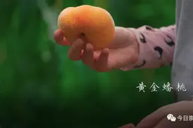 崇州，竟藏着一个“世外桃园”！图片
