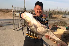 鲢鳙垂钓，钓底与钓浮根据水域季节选择的技巧你掌握了吗？图片