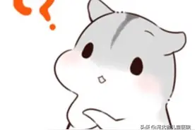 奇怪！看病不用打针吃药吗？图片