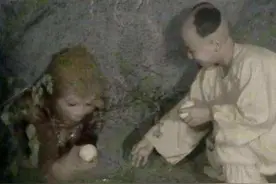孙悟空被压500年只有一人去看他，不是菩提祖师，更不是七大圣图片