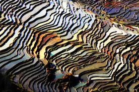 西南新双雄——云南和贵州上半年的发展对比图片