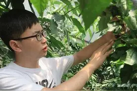 “踏进庄稼院，就是咱农家人”柳河县孤山子镇杨大院村驻村第一书记张雪松的故事图片
