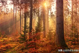 秋燥分温凉，初秋润燥莫忘清火图片