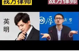 爆笑神评：我惹上了官司，这是敌我律师，大家帮我看看能赢吗？图片