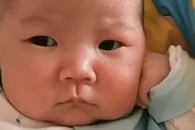 奶凶奶凶宝宝“发愁”走红，内心OS：这以后的日子可咋过？图片