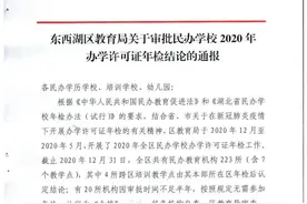 武汉教育局最新公告，10大城区2020年民办机构红黑榜来了（下篇）图片