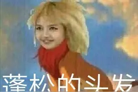 表情包 | 蓬松的头发图片