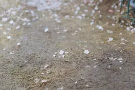 音乐鉴赏之游鸿明《下沙》：风又起了，你听到了什么图片