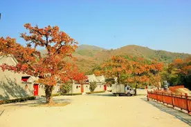 天津又一公园走红，公园总面积达2126公顷，被誉为京津后花园图片