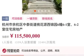 1.155亿起拍的桃花源别墅流拍！内部奢豪装修闪瞎人的眼图片