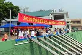 生猛石斑鱼游入大亚湾！广东省海洋渔业试验中心举办增殖放流活动图片