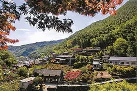 浙江首批“乡村氧吧”名单公布！30地入选，你去过几个？图片