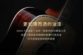 聊一聊关于恩雅T10吉他的油漆封装工艺图片