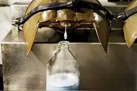 诞生超4亿年至今容貌未变，是神奇“献血者”，血液十分珍贵图片