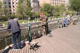何家沟水清鱼多，不再是以前又脏又乱的臭水沟了，许多市民来垂钓图片