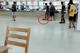 广东一食堂突然窜出一只老鼠，学生欢呼追逐，阿姨一记逗笑网友图片