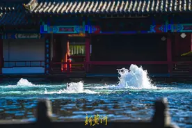 “百脉沸腾”令人震撼！章丘泉水爆发式喷涌，冬喷势头不输夏季图片
