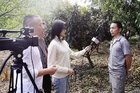 绿了山林富了农家 鹿鸣山核桃产业筑牢绿色发展之路图片