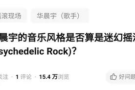 华晨宇的音乐风格是否算是迷幻摇滚(Psychedelic Rock)？图片