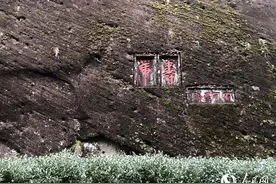 三问武夷岩茶之二：“天价茶”从何而来？图片