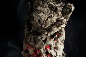 香烟杀死了动物图片