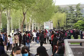 实拍石家庄最大相亲角：特殊时期也阻挡不了追求爱情的步伐图片