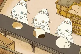 超治愈猫咪GIF图！网友：不小心看了两小时图片