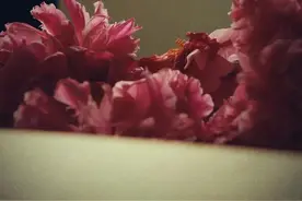 女人，知道吗？婚外情其实就是一场梦图片