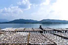 清水河小干鱼是这样做出来的图片