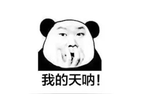 猪食槽也不放过！这对夫妻脑洞有点大！图片