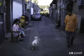 北京胡同的真实生活图片