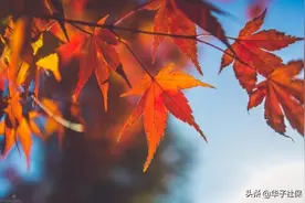 河南省企退人员去世，2021年9月调整后的遗属待遇有多少钱？图片