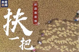 时政微视频丨扶一把图片