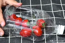 把水果放进塑料瓶里，解决了带孩子外出旅行的大困扰，太实用了图片