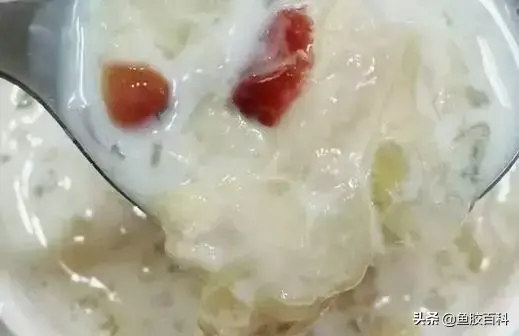 花胶薏米木瓜可以同吃煲汤 2026年花胶煲木瓜的功效