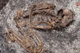 部分日本人是中国人？新证据：古代汉族人祖先大约2000年前到日本图片