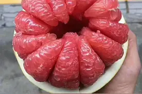 处暑后，不管有钱没钱，记得“食五果”缓解秋燥，老少皆宜别错过图片