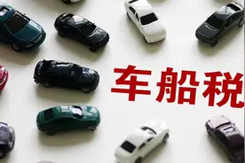 车船税可以在哪里查询，2种方式快捷方便图片