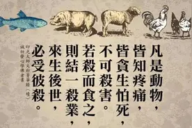 宋代保护野生动物的政策，背后是儒、佛、道三教思想影响图片