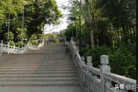中山火炬开发区张家边公园，景色宜人图片