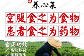 富碳高钙养心菜多元应用——鲜菜食用、制作主食图片