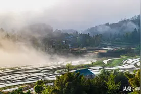 重庆南川：云蒸雾绕梯田美图片